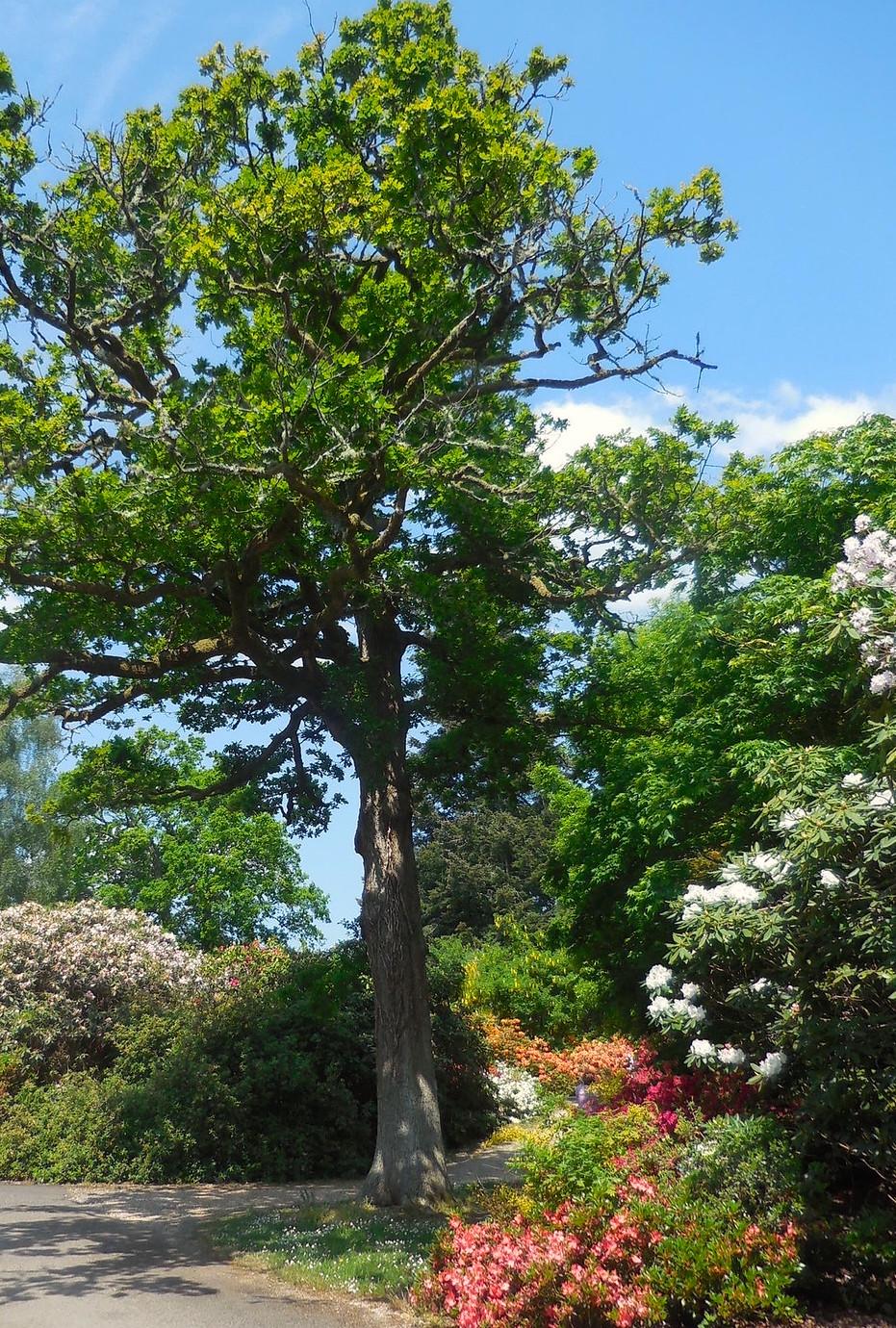 Gardens
